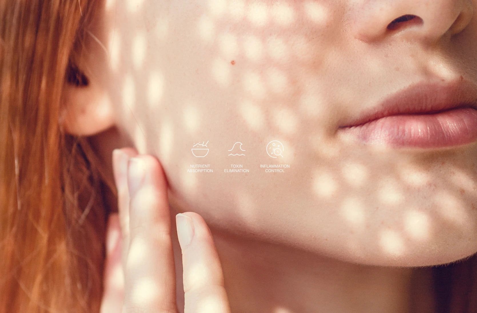 Nourish Your Skin from Within